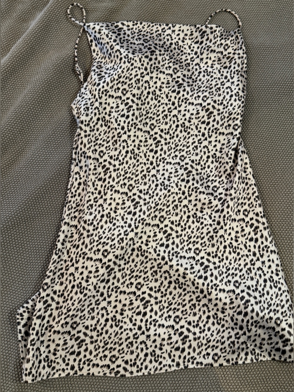 Slide show Leopard Print Slip Mini dress